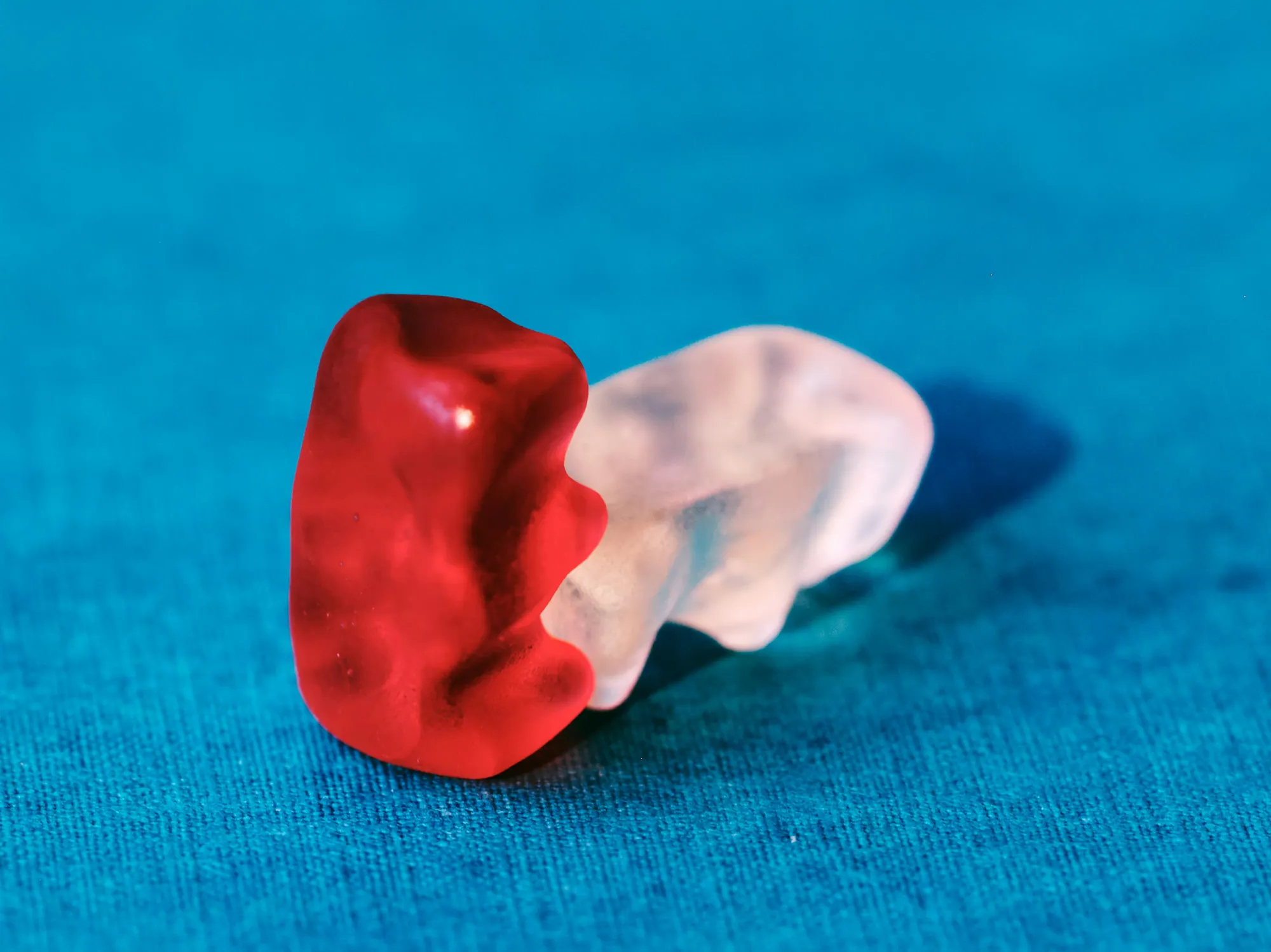 Ein roter und ein weißer Gummibär auf türkisem Stoff